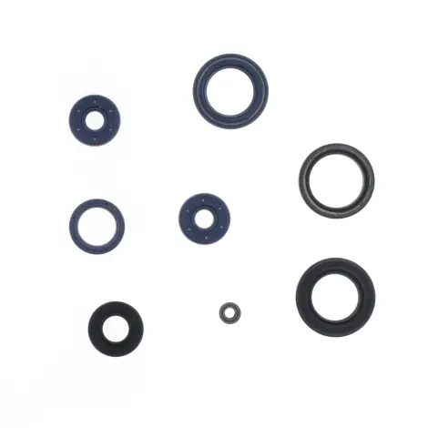 Serie Paraolio Motor