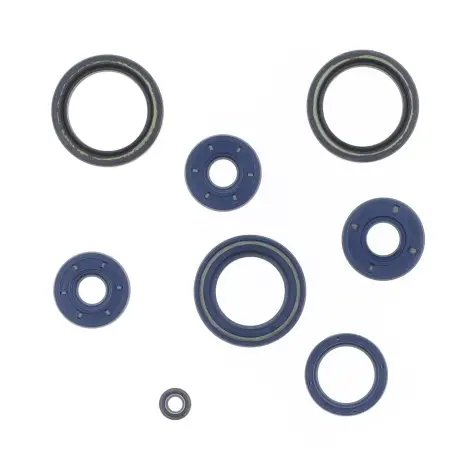 Serie Paraolio Motor