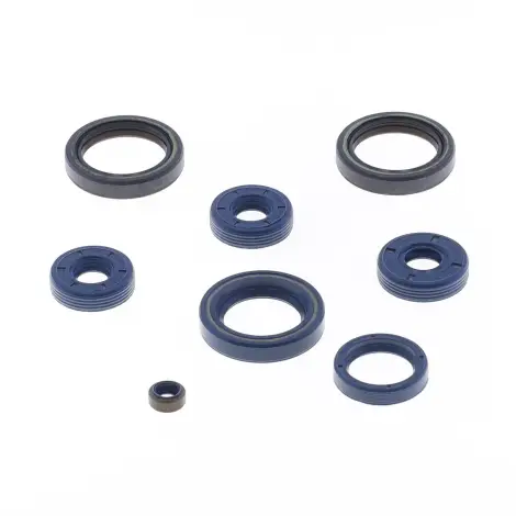 Serie Paraolio Motor