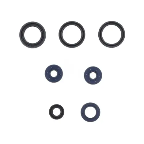 Serie Paraolio Motor