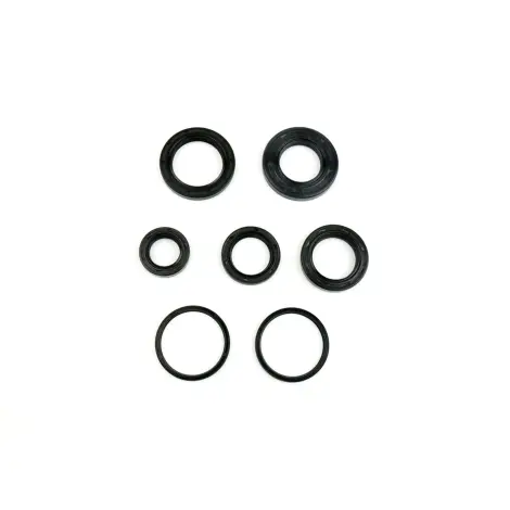 Serie Paraolio Motor