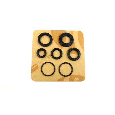Serie Paraolio Motor