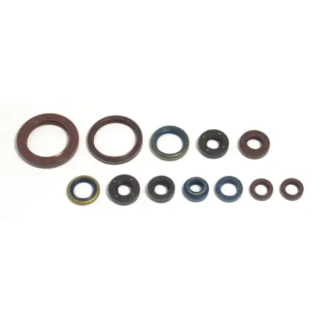Serie Paraolio Motor
