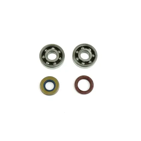 Kit Revisione Albero