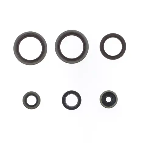 Serie Paraolio Motor