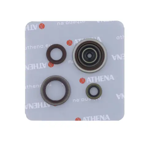 Serie Paraolio Motor