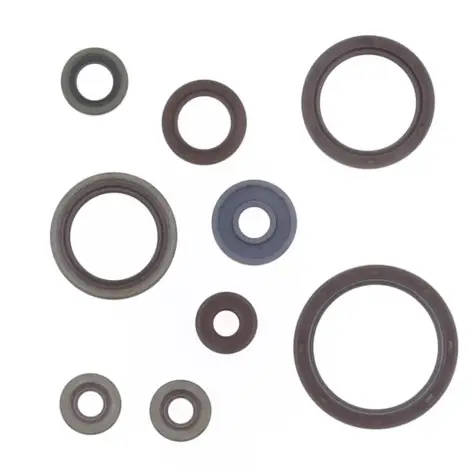 Serie Paraolio Motor