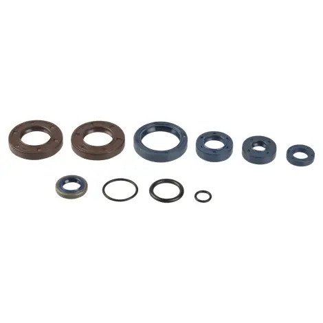 Serie Paraolio Motor