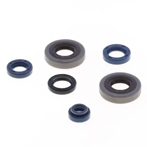 Serie Paraolio Motor