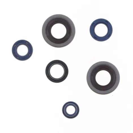 Serie Paraolio Motor