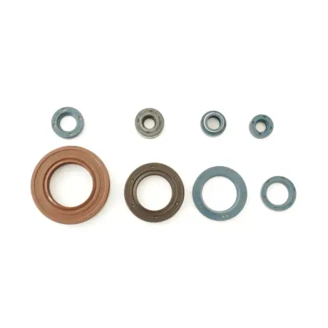 Serie Paraolio Motor