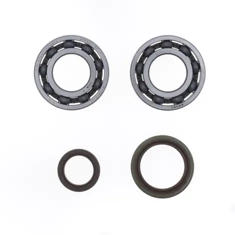 Kit Revisione Albero
