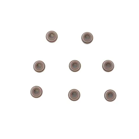 Serie Paraolio Guida