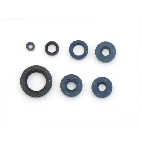 Serie Paraolio Motor