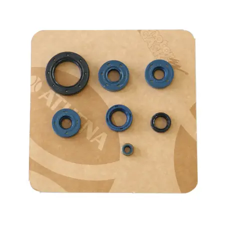 Serie Paraolio Motor