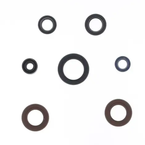Serie Paraolio Motor