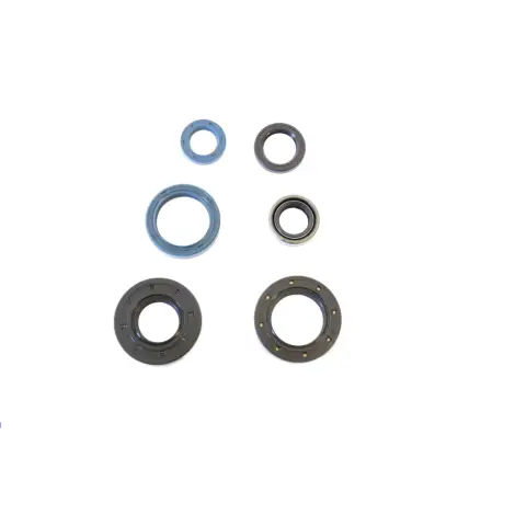 Serie Paraolio Motor
