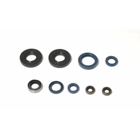 Serie Paraolio Motor