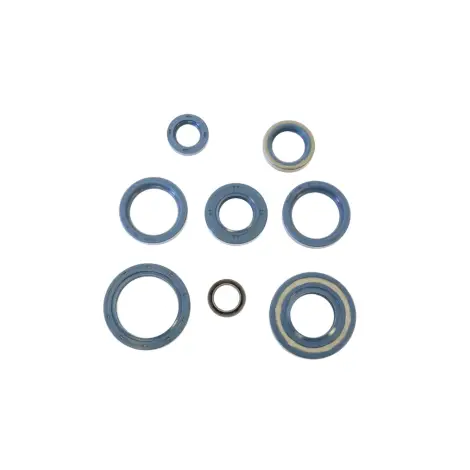 Serie Paraolio Motor