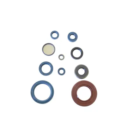 Serie Paraolio Motor