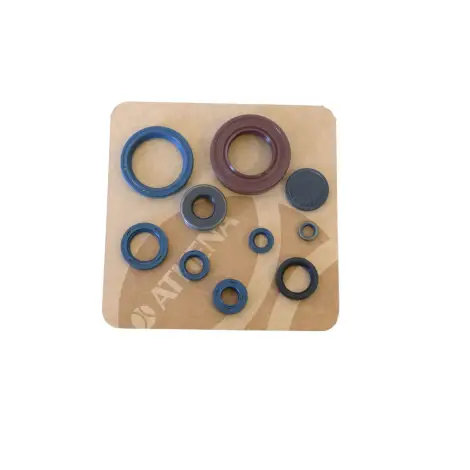 Serie Paraolio Motor
