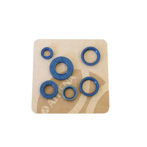 Serie Paraolio Motor
