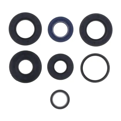 Serie Paraolio Motor