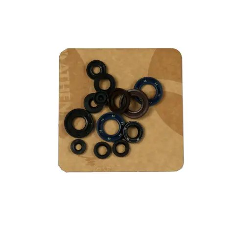 Serie Paraolio Motor