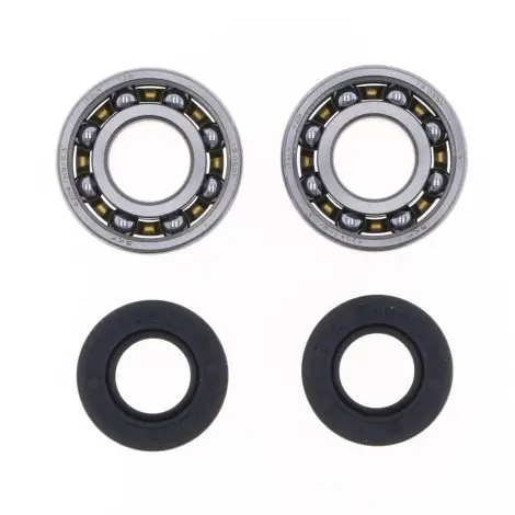 Kit Revisione Albero