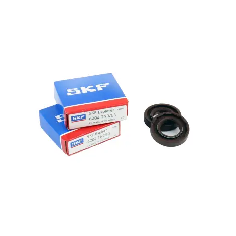 Kit Revisione Albero