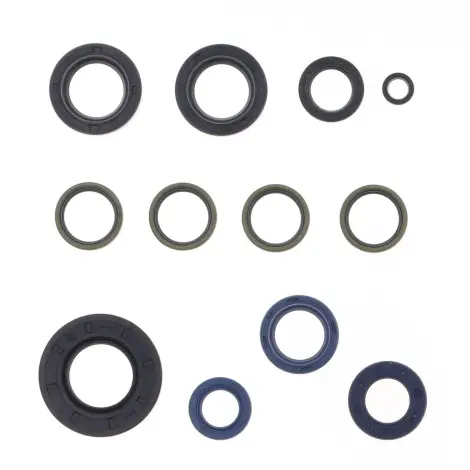 Serie Paraolio Motor
