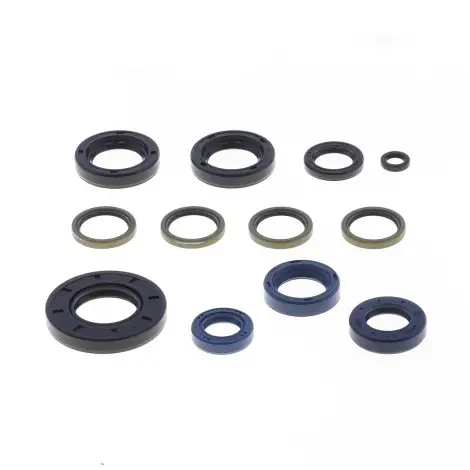 Serie Paraolio Motor