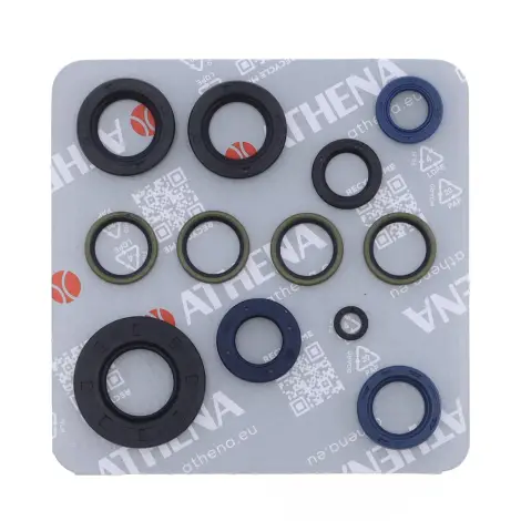 Serie Paraolio Motor