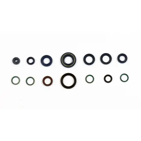 Serie Paraolio Motor
