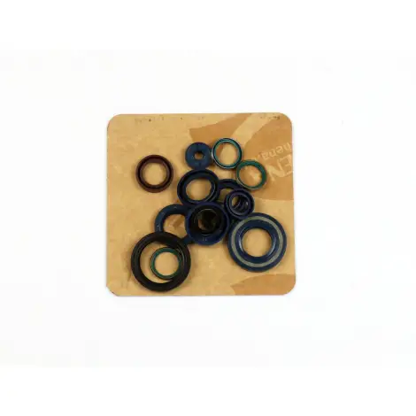 Serie Paraolio Motor