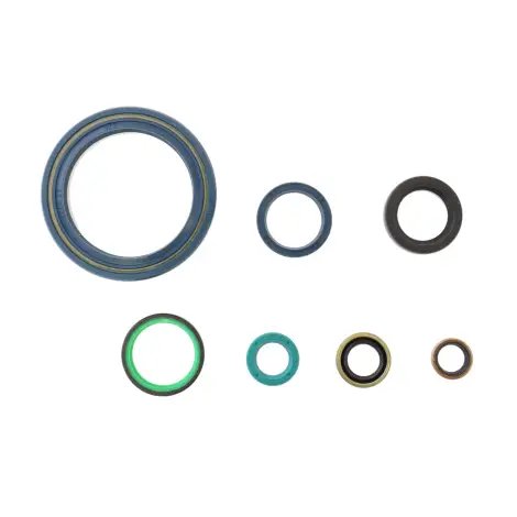 Serie Paraolio Motor