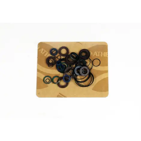 Serie Paraolio Motor