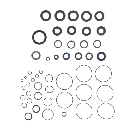 Serie Paraolio Motor