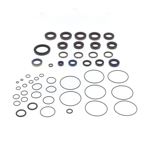 Serie Paraolio Motor