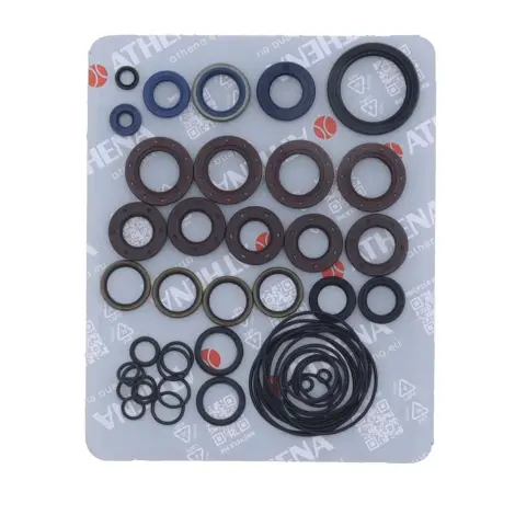 Serie Paraolio Motor