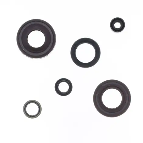 Serie Paraolio Motor