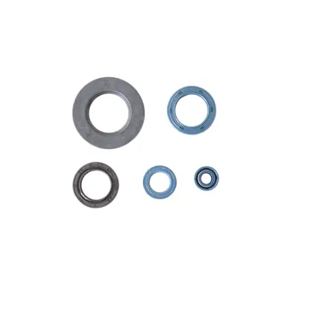 Serie Paraolio Motor