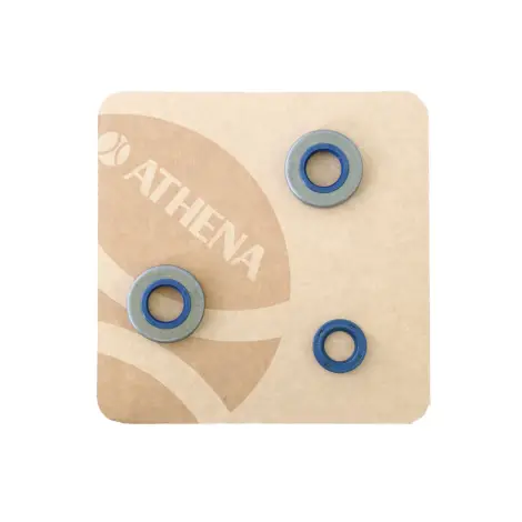 Serie Paraolio Motor