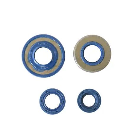 Serie Paraolio Motor