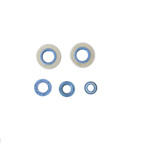 Serie Paraolio Motor