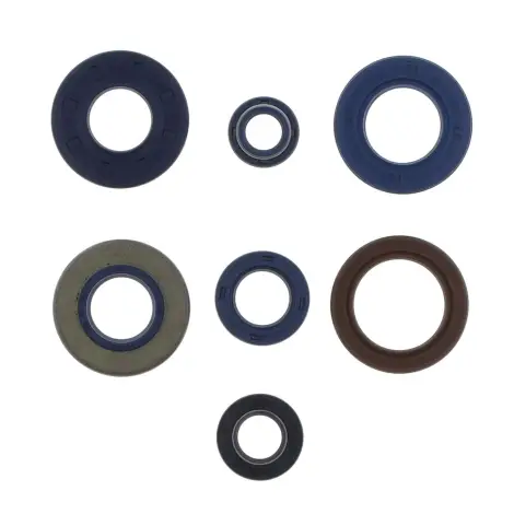 Serie Paraolio Motor