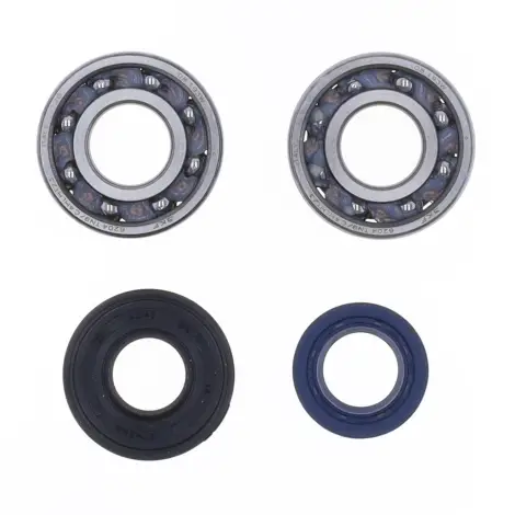 Kit Revisione Albero