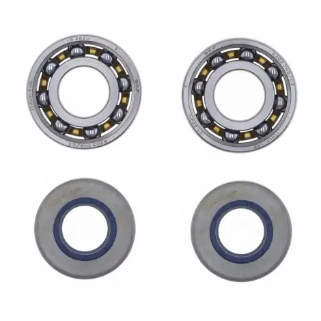 Kit Revisione Albero