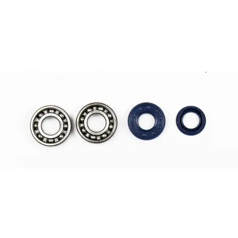 Kit Revisione Albero