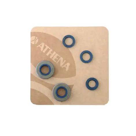 Serie Paraolio Motor